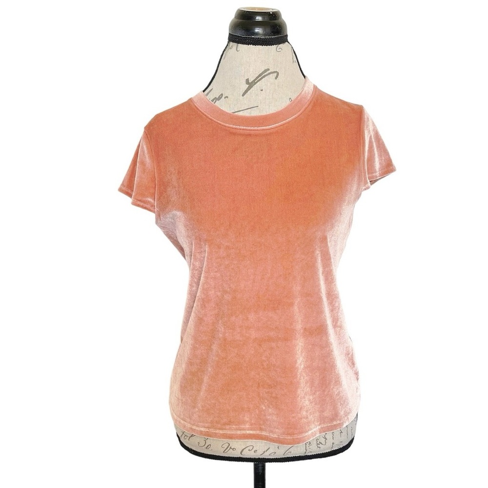 Madewell Womens Rust Orange Crushed Velvet Top Short Sleeve Crewneck Sz S EUC